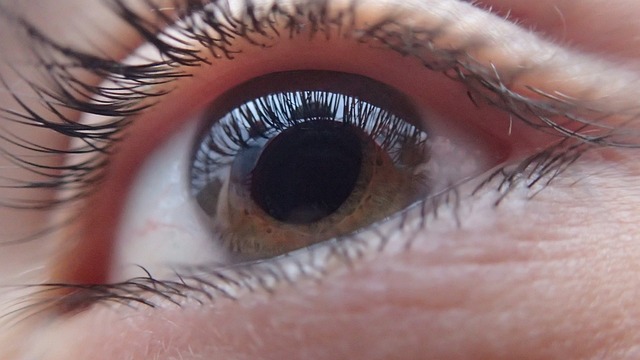 Fra blyant til farvegel: En gennemgang af forskellige produkter til øjenbrynsfarvning