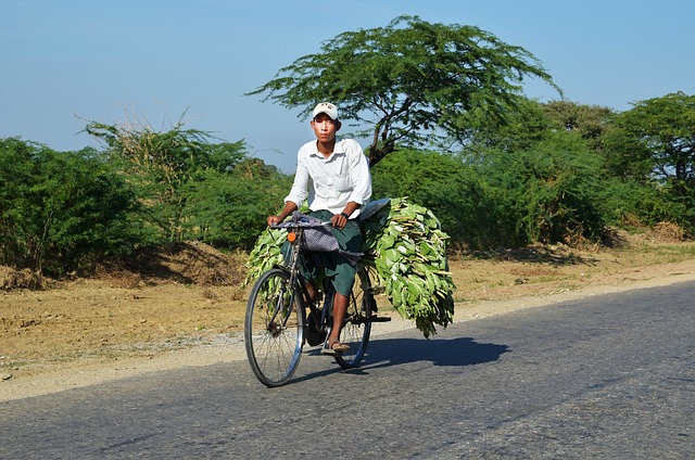 Transportkasser til cykler: Opdag de smarteste løsninger til at transportere din cykel